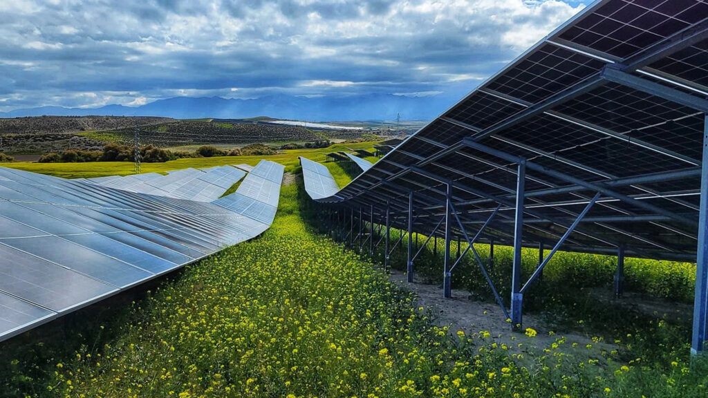 solar photovoltaic farm for energy production